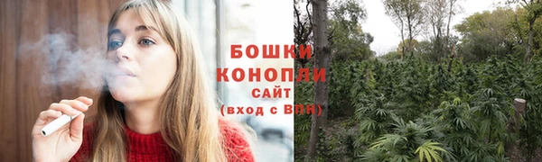 ECSTASY Вяземский