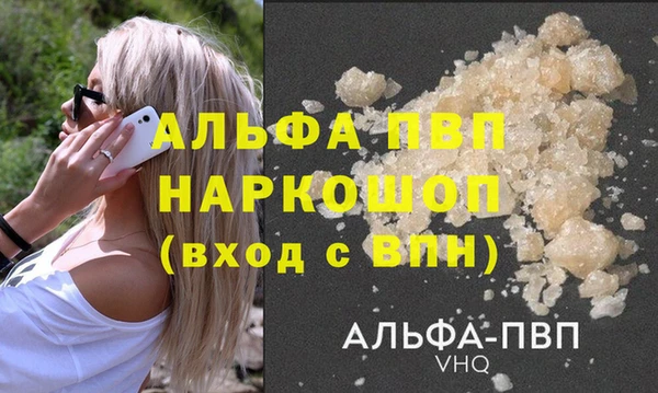 ECSTASY Вяземский